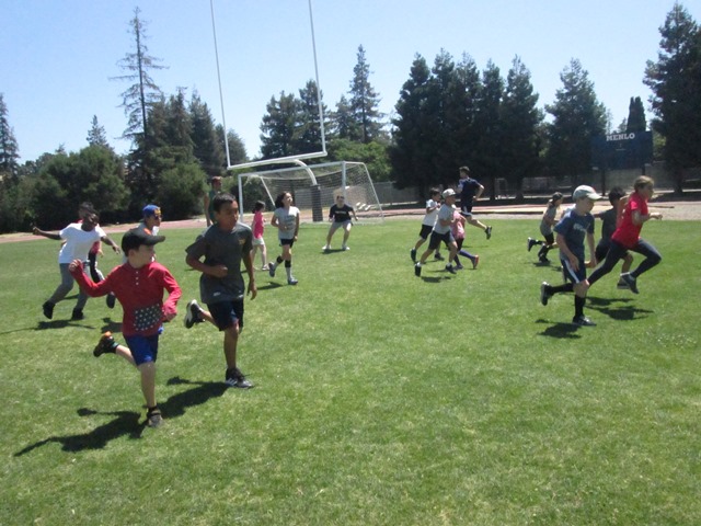 Sports Camp3