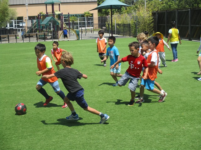 Soccer2